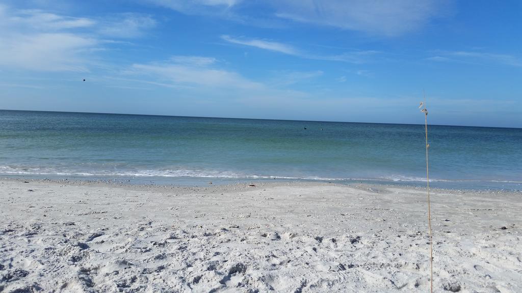 Madeira Bonita Apartment #6 St. Pete Beach Rom bilde